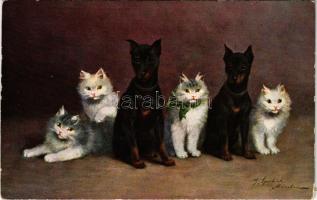 Cats and dogs. T.S.N. Serie 671. (6 Dess.)