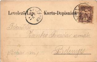 1901 Fiume, Rijeka; Grad Trsat / Schloss Tersatto (EK)