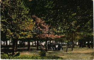Görgénysóakna, Görgény-Sóakna, Jabenita (Maros); Parkrészlet, fürdő. A Fürdőigazgatóság egyedüli kia...