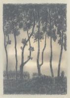 Abony, Franz (működött a XX. sz. elején-első felében): Hangulatos táj, 1918. Rézkarc, papír, jelzett...