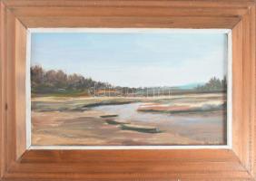 Nagy jelzéssel, XX. sz.vége/XXI sz. eleje: Nyugalom. Olaj, farost, fakeretben, 20×35 cm