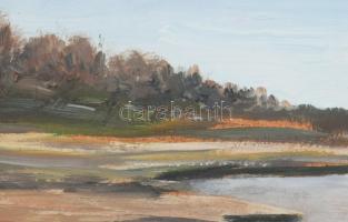 Nagy jelzéssel, XX. sz.vége/XXI sz. eleje: Nyugalom. Olaj, farost, fakeretben, 20×35 cm