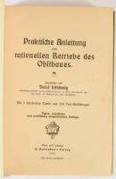 (Gyümölcsfa nevelés) Löschnig, Josef: Praktische Anleitung zum rationellen Betriebe des Obstbaues. W...
