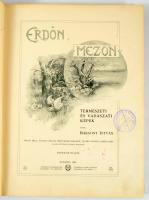 Bársony István: Erdőn, mezőn. Természeti és vadászati képek. Spányi Béla, Pataky László, Mesterházy ...