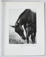 Hemző Károly: Csak lovak. / Just Horses. Bp., 2005, Gust-Art Stúdió, 141+3 p. Fekete-fehér fotókkal ...