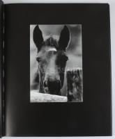 Hemző Károly: Csak lovak. / Just Horses. Bp., 2005, Gust-Art Stúdió, 141+3 p. Fekete-fehér fotókkal ...