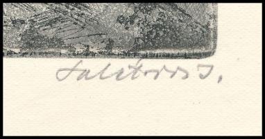 Salétros János (1935-): Tiszai vízlépcső. Rézkarc, papír, jelzett, hártyapapíron feliratozott, Az 19...
