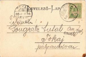 1905 Herkulesfürdő, Baile Herculane; látkép, szálloda / view, hotel (EK)
