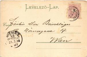 1898 Herkulesfürdő, Baile Herculane; Kurhaus Rudolfshof / Gyógyterem, Rezső udvar / general view, sp...