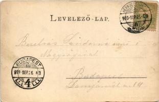 1903 Herkulesfürdő, Baile Herculane; Mittelpunkt. R. Krizsány kiadása / a fürdő központja / spa (EK)