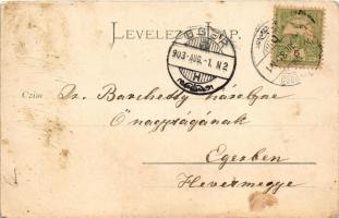 1903 Herkulesfürdő, Baile Herculane; Ferenc József udvar. Hutterer G. kiadása / Franz Josefs Hof / s...