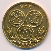 1959. "10 éves - A Nehézipari Műszaki Egyetem - 1949-1959 / NME" aranyozott bronz, kétolda...
