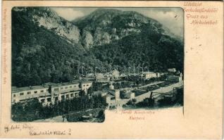 1903 Herkulesfürdő, Baile Herculane; Kurpark / A fürdő központja ("kőszpontya"). Alfred Jä...