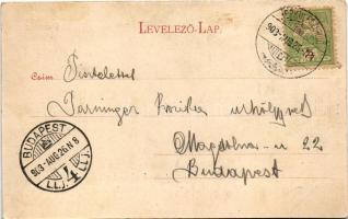 1903 Herkulesfürdő, Baile Herculane; Kurpark / A fürdő központja ("kőszpontya"). Alfred Jä...