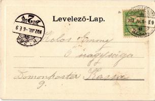1902 Herkulesfürdő, Baile Herculane; Cserna szoros. Jäger Emil kiadása / gorge