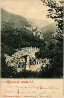1904 Herkulesfürdő, Baile Herculane; látkép, szálloda. Hutterer G. / view, hotel (fl)