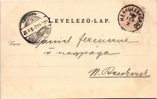 1900 Herkulesfürdő, Baile Herculane; Karlsbrunnen und Herkulesbad, Tschernaschlucht. Verlag von Emil...