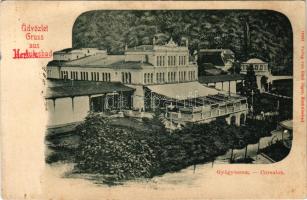 1900 Herkulesfürdő, Baile Herculane, Cursalon. Verlag von Emil Jäger / fürdő, gyógyterem / spa, bath...