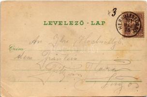 1901 Herkulesfürdő, Baile Herculane; Verlag von Emil Jäger / fürdő, gyógyterem / spa, bath (vágott /...