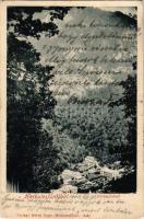 1902 Herkulesfürdő, Baile Herculane; látkép. Alfred Jäger / view (EK)