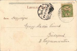 1902 Herkulesfürdő, Baile Herculane; látkép. Alfred Jäger / view (EK)
