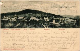 1901 Iglófüred, Bad Zipser Neudorf, Spisská Nová Ves Kupele, Novovesské Kúpele; Hungária szálloda, N...