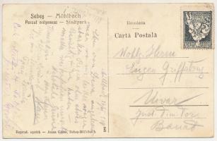 1929 Szászsebes, Mühlbach, Sebesul Sasesc, Sebes; Városligeti tó / Parcul orasenesc / Stadtpark / pa...