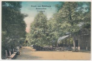 1914 Szászsebes, Mühlbach, Sebesul Sasesc, Sebes; Erlenpark / liget. Johann Rilki kiadása / park (fl...
