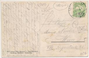 1914 Szászsebes, Mühlbach, Sebesul Sasesc, Sebes; Erlenpark / liget. Johann Rilki kiadása / park (fl...
