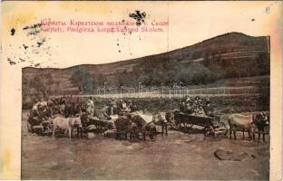 1915 Skole, Karpaty, Podgórza karpackie pod Skolem / the Carpathian foothills near Skole (fl)