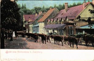 Bad Harzburg, Gruß vom Molkenhaus. Bier-Buffet / dairy, cattle, beer buffet (cut)