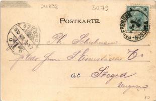 1900 Rogaska Slatina, Rohitsch-Sauerbrunn; Curplatz / spa (EK)