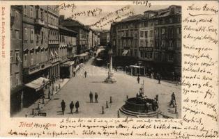 1903 Trieste, Trieszt; Corso / street, horse-drawn tram, fountain, shop of Adolfo Seisser. Koch &amp...