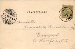 1902 Vihnye, Vihnyefürdő, Kúpele Vyhne; látkép / view (EB)