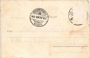 1905 Zólyom, Zvolen; látkép / view (Rb)