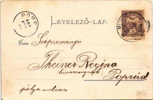 1901 Beregvár, Karpaty, Karpati (Szentmiklós, Beregszentmiklós, Cinadievo, Chynadiyovo); Schönborn k...