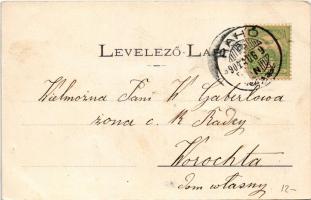 1904 Rahó, Rahau, Rakhiv, Rahovo (Máramaros); utcai részlet, fürdőház, járásbíróság. Némethi J. felv...