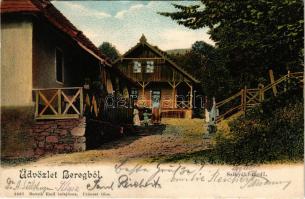 Kékesfüred, Sinjak, Synyak, Synjak (Bereg); Szinyáki fürdő. Bertsik Emil tulajdona / spa house