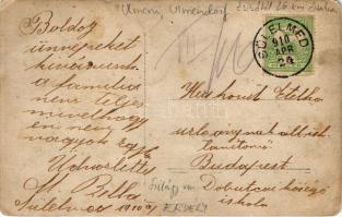 1910 Sülelmed, Silimeghiu, Ulmeni; 'Államilag engedélyezett bor, sör, pálinka mérés', kocs...
