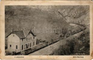 Petrozsény, Petrosani; Boli barlangi vasútállomás. Hammer Ábrahám kiadása / railway station near Bol...