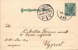 1903 Wien, Vienna, Bécs; Belvedere / royal palace and park. litho (EK)