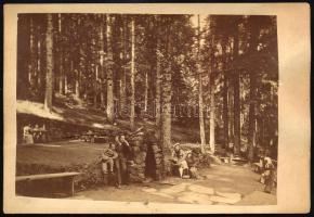 cca 1890-1900 Bártfai fürdő (Bártfafürdő, Bardejovské Kúpele), erdei részlet, keményhátú fotó Divald...
