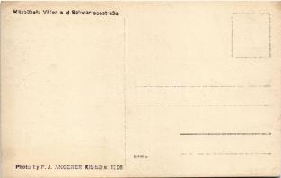 Kitzbühel (Tirol), Villen a. d. Schwarzseestraße / villas. Photo F. J. Angerer 1926. photo (EK)