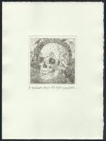 Orosz István (1951-): A Bolondok Hajója XLI. Rézkarc, papír, jelzett és számozott (70/150). 11,5x11,...