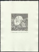 Orosz István (1951-): A Bolondok Hajója LIV. Rézkarc, papír, jelzett és számozott (62/150). 11,5x11,...