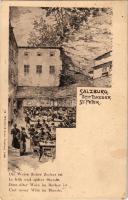 Salzburg, Stiftskeller St. Peter / inn (fl)