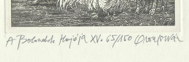 Orosz István (1951-): A Bolondok Hajója XV. Rézkarc, papír, jelzett és számozott (65/150). 11,5x11,5...