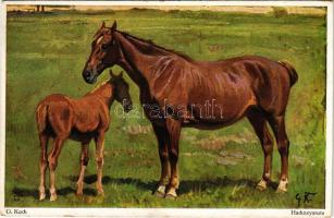 Hackneystute. Horse art postcard. Künstler-Studien-Blätter No. 3415. s: G. Koch (EK)