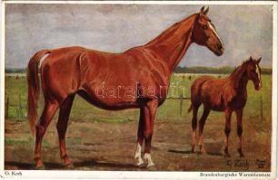 Brandenburgische Warmblutstute / Horse art postcard. Künstler-Studien-Blätter No. 3415. s: G. Koch (...