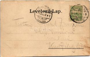 1905 Budapest I. Új királyi várpalota, várkert, gőzhajó (kis szakadás / small tear)